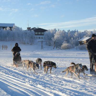 Husky Sledding in Norway on cross country winter activity holiday (1 of 1)-3.jpg